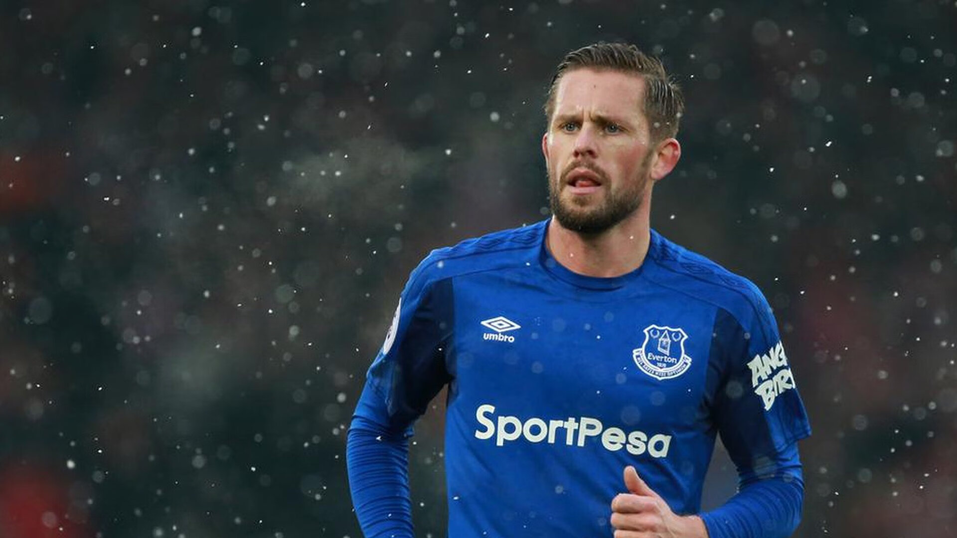 年度焦点之战，爱尔兰压哨绝杀马里，足球史上的奇迹之夜